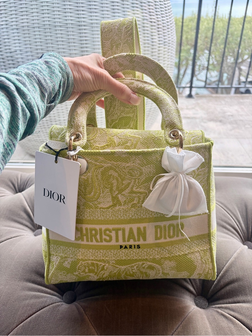 NWT Dior Medium Lady D-Lite Bag Toile de jouy embroidery.PERFECT! W: dust bag